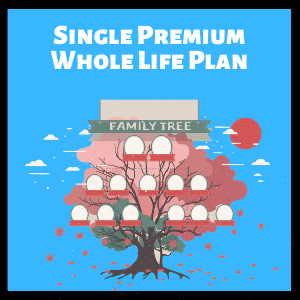 single premium whole life insurance